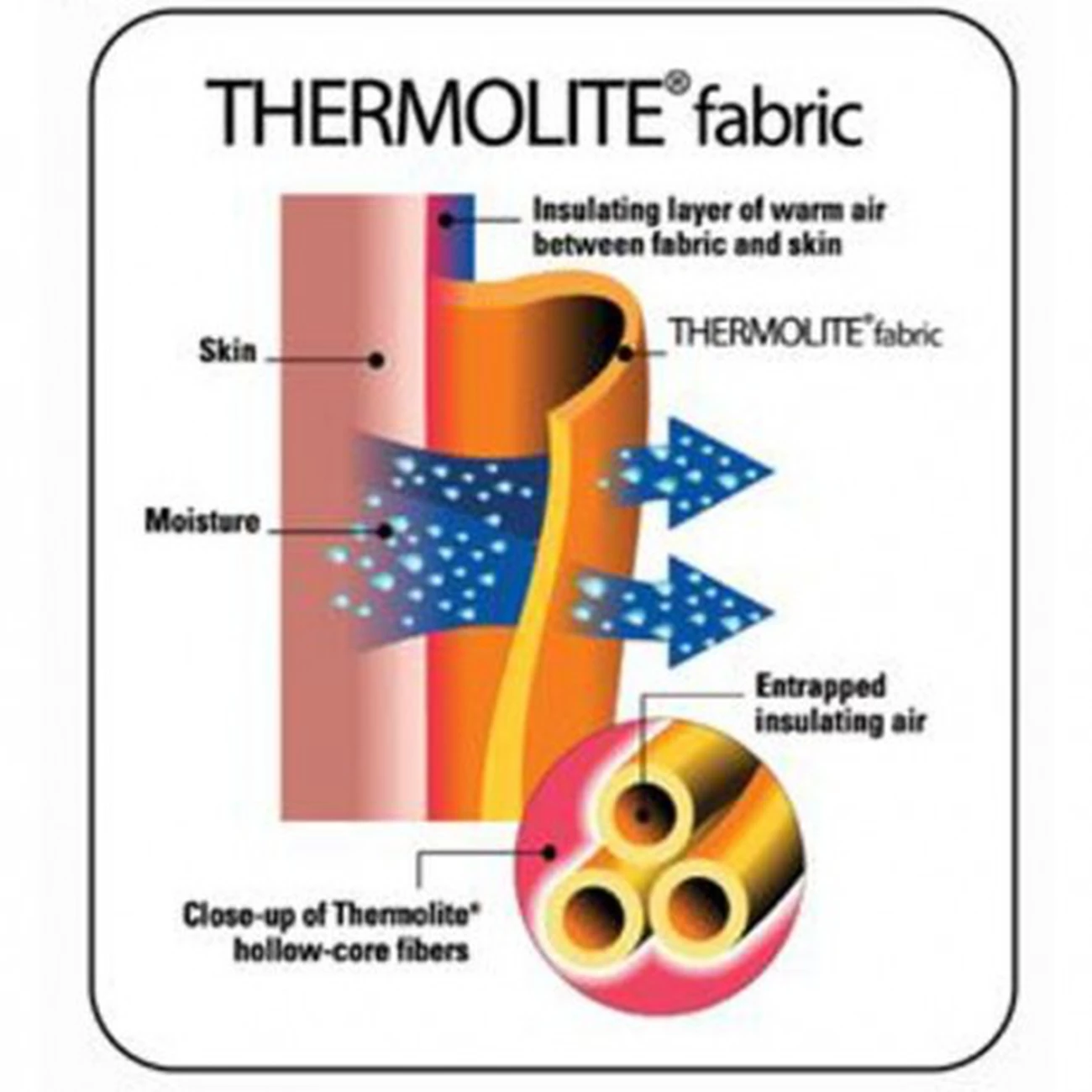 Meilleure vente 👏 Camping Sea To Summit Drap De Couchage Thermolite Reactor Compact + Sea To Summit ⭐ 3 Meilleure vente 👏 Camping Sea To Summit Drap De Couchage Thermolite Reactor Compact + Sea To Summit ⭐ – Image 3