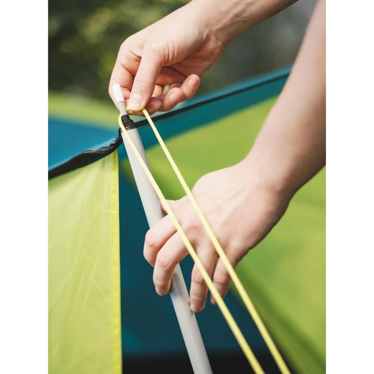 De gros 😍 Pavillo Tente Cool Ground 3 Places ✨ 6 De gros 😍 Pavillo Tente Cool Ground 3 Places ✨ – Image 6