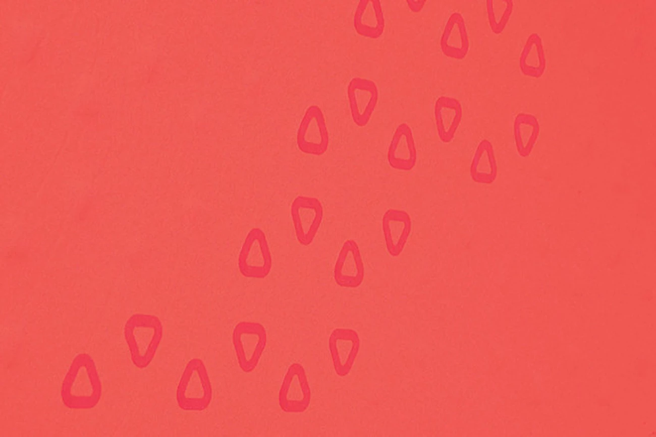 Sortie 🥰 Camping Sea To Summit Matelas Autogonflant Sea To Summit Ultralight S.i. 👩 Women R 🔥 4 Sortie 🥰 Camping Sea To Summit Matelas Autogonflant Sea To Summit Ultralight S.i. 👩 Women R 🔥 – Image 4